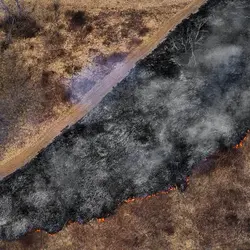 March 2021 (Shaker Village of Pleasant Hill)